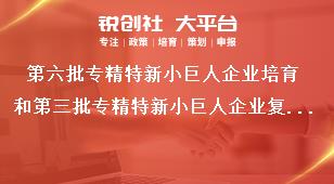 第六批專精特新小巨人企業(yè)培育和第三批專精特新小巨人企業(yè)復(fù)核工作注意事項(xiàng)獎(jiǎng)補(bǔ)政策