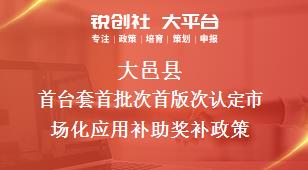 大邑縣首臺套首批次首版次認定市場化應(yīng)用補助相關(guān)配套獎補政策