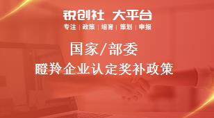 國家/部委瞪羚企業(yè)認(rèn)定獎(jiǎng)補(bǔ)政策