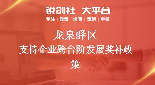 龍泉驛區(qū)支持企業(yè)跨臺階發(fā)展相關配套獎補政策