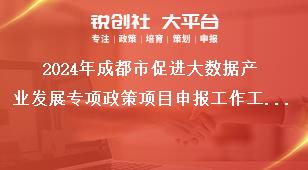 2024年成都市促進(jìn)大數(shù)據(jù)產(chǎn)業(yè)發(fā)展專項政策項目申報工作工作要求獎補(bǔ)政策