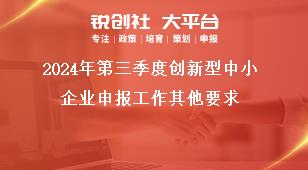 2024年第三季度創(chuàng)新型中小企業(yè)申報工作其他要求獎補政策