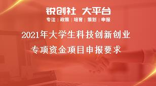 2021年大學(xué)生科技創(chuàng)新創(chuàng)業(yè)專項資金項目申報要求獎補政策