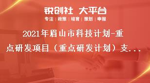 2021年眉山市科技計劃-重點研發(fā)項目（重點研發(fā)計劃）支持范圍獎補政策