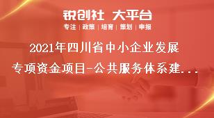 2021年四川省中小企業(yè)發(fā)展專項資金項目-公共服務(wù)體系建設(shè)支持方式獎補政策