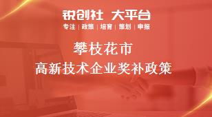 攀枝花市高新技術(shù)企業(yè)相關(guān)配套獎補政策