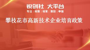 攀枝花市高新技術(shù)企業(yè)培育政策獎補政策