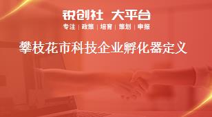 攀枝花市科技企業(yè)孵化器定義獎補(bǔ)政策