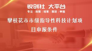 攀枝花市市級指導(dǎo)性科技計劃項目申報條件獎補政策