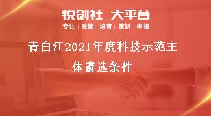 青白江2021年度科技示范主體遴選條件獎補(bǔ)政策