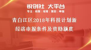 青白江區(qū)2018年科技計劃新經(jīng)濟申報條件及資助額度獎補政策