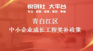 青白江區(qū)中小企業(yè)成長工程相關配套獎補政策