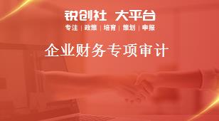 企業(yè)財(cái)務(wù)專項(xiàng)審計(jì)獎補(bǔ)政策