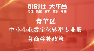 青羊區(qū)中小企業(yè)數(shù)字化轉型專業(yè)服務商相關配套獎補政策