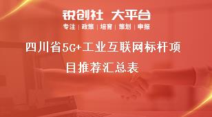 四川省5G+工業(yè)互聯(lián)網(wǎng)標(biāo)桿項(xiàng)目推薦匯總表獎補(bǔ)政策