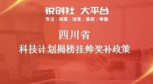 四川省科技計劃揭榜掛帥相關(guān)配套獎補政策