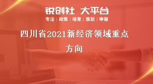 四川省2021新經(jīng)濟領域重點方向獎補政策