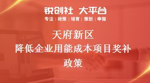 天府新區(qū)降低企業(yè)用能成本項目相關(guān)配套獎補政策