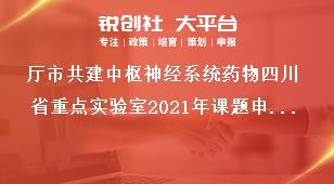 廳市共建中樞神經(jīng)系統(tǒng)藥物四川省重點實驗室2021年課題申請材料獎補政策