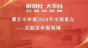 雅安市申報(bào)2024年市級(jí)重點(diǎn)實(shí)驗(yàn)室申報(bào)領(lǐng)域獎(jiǎng)補(bǔ)政策