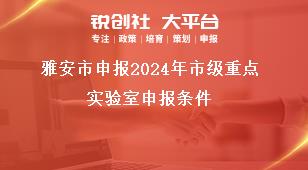雅安市申報2024年市級重點(diǎn)實(shí)驗(yàn)室申報條件獎補(bǔ)政策