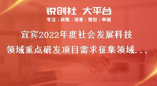 宜賓2022年度社會(huì)發(fā)展科技領(lǐng)域重點(diǎn)研發(fā)項(xiàng)目需求征集領(lǐng)域及范圍獎(jiǎng)補(bǔ)政策