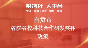自貢市省院省校科技合作研發(fā)相關配套獎補政策