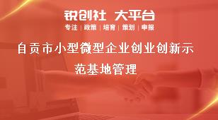 自貢市小型微型企業(yè)創(chuàng)業(yè)創(chuàng)新示范基地管理獎(jiǎng)補(bǔ)政策