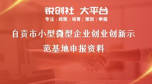 自貢市小型微型企業(yè)創(chuàng)業(yè)創(chuàng)新示范基地申報(bào)資料獎(jiǎng)補(bǔ)政策